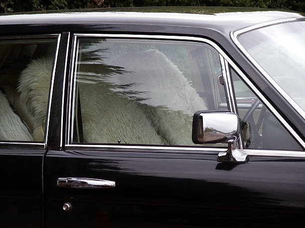 car with sheepskin seat covers