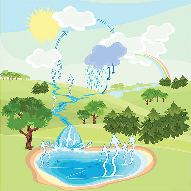 stockillustraties, clipart, cartoons en iconen met water cycle in nature - waterkringloop