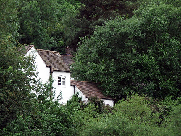 Cottage di alberi - foto stock