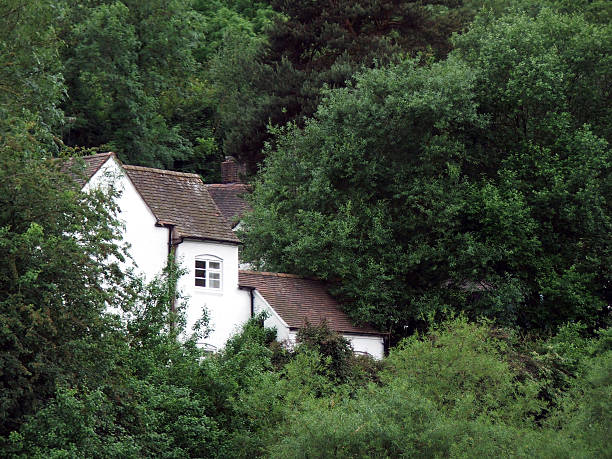 Casa nas árvores - fotografia de stock