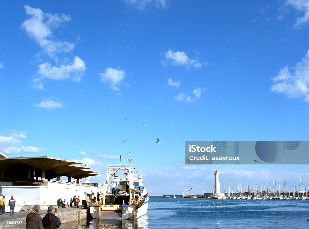 Francese harbour - Foto stock royalty-free di Animale