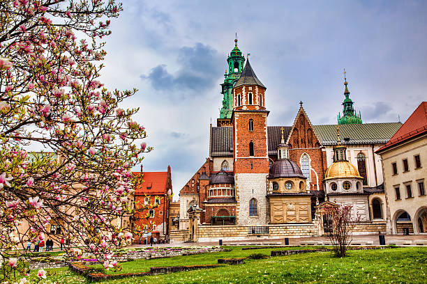 Krakow Wawel Cathedral, Krakow wawel cathedral photos stock pictures, royalty-free photos & images