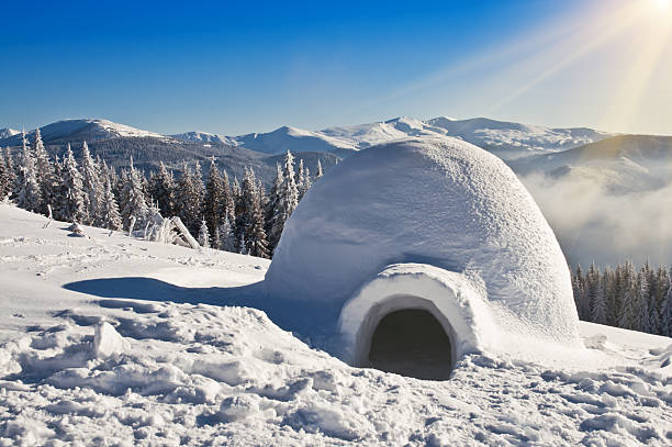 иглу на снегу - igloo стоковые фото и изображения