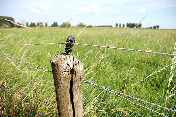 istock Barbed wire in the country 471009423