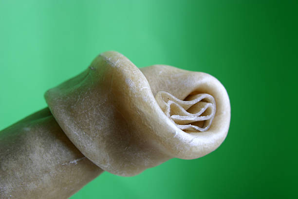 Dog bone stock photo