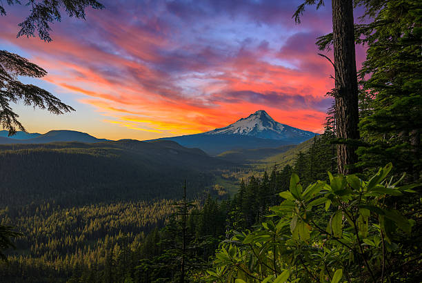 Beautiful Vista of Mount Hood in Oregon, USA stock photo