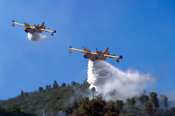 canadair2 - skeg imagens e fotografias de stock