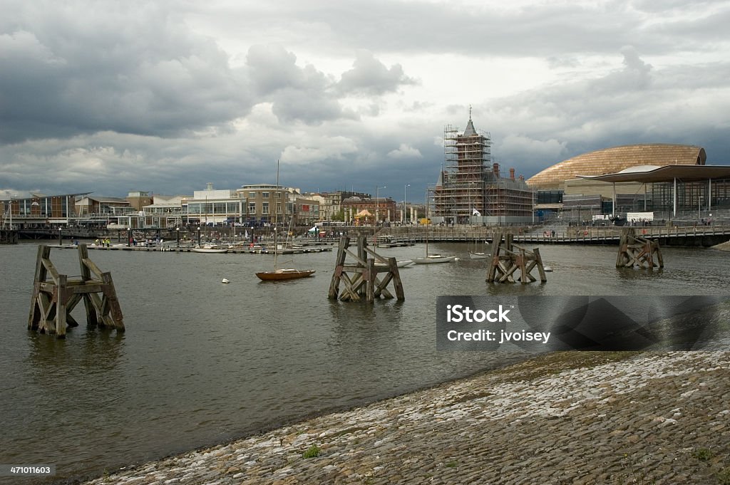 Baie de Cardiff - Photo de An 2000 libre de droits