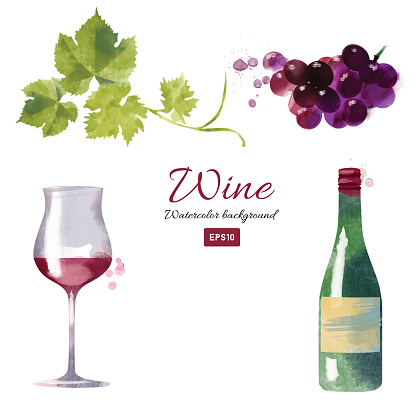 Watercolor vector wine and grapes set