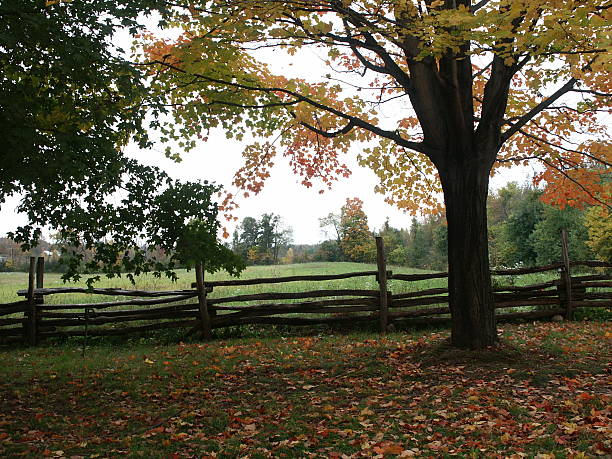 istock Autumn in Upstate New York 471013225