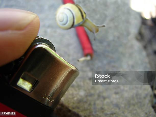 A Crueldade Para Com Os Animais - Fotografias de stock e mais imagens de Animal - Animal, Caracol - Gastrópode, Chaminé - Estrutura Feita pelo Homem