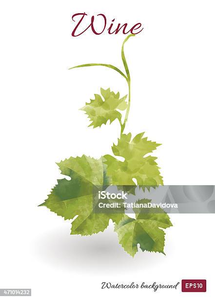 Vector Watercolor Image Of Green Vine Leaves For Wine Design Stock Illustration - Download Image Now