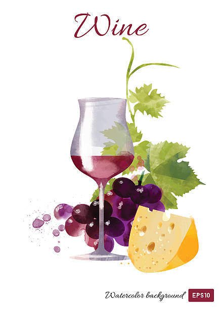 wodne tło wektor wino - cheese wine white background grape stock illustrations