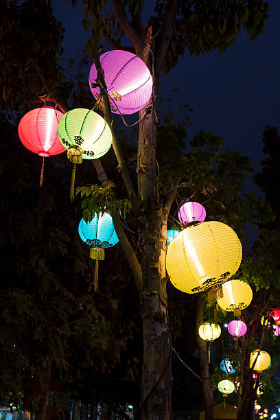 istock beautiful multi color chinese lantern is colorful on tree 471014440