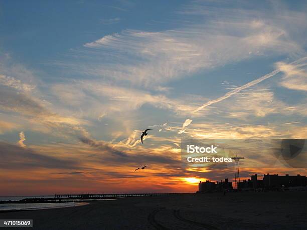 Coney Island I Stock Photo - Download Image Now - Amusement Park Ride, Beach, Bird