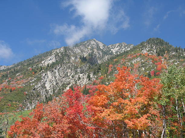 Autumn Day in the Mountains stock photo