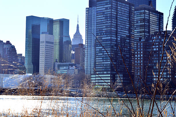 istock Vista di New York 471019810