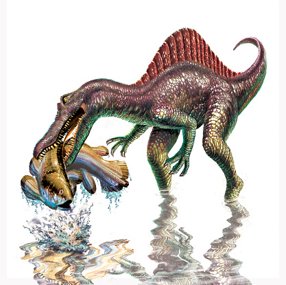 Illustration of a Spinosaurus catching a coelacanth.