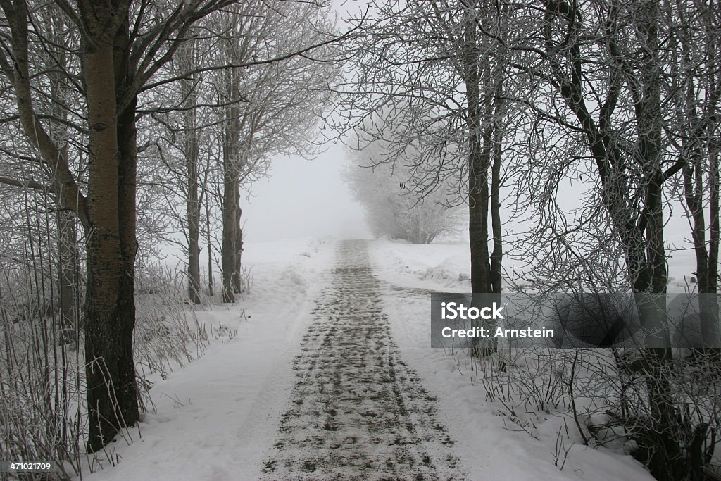 Caminho através de uma floresta de inverno - Foto de stock de Branco royalty-free