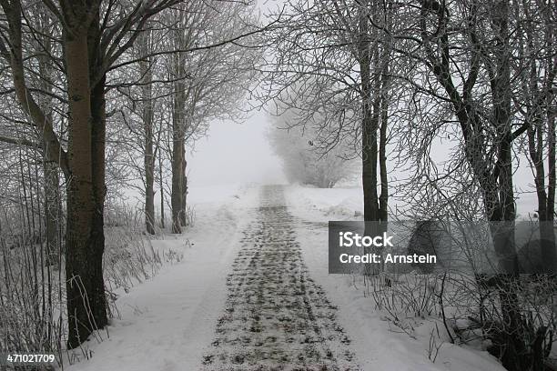 Foto de Caminho Através De Uma Floresta De Inverno e mais fotos de stock de Branco - Branco, Conceito, Céu - Fenômeno natural