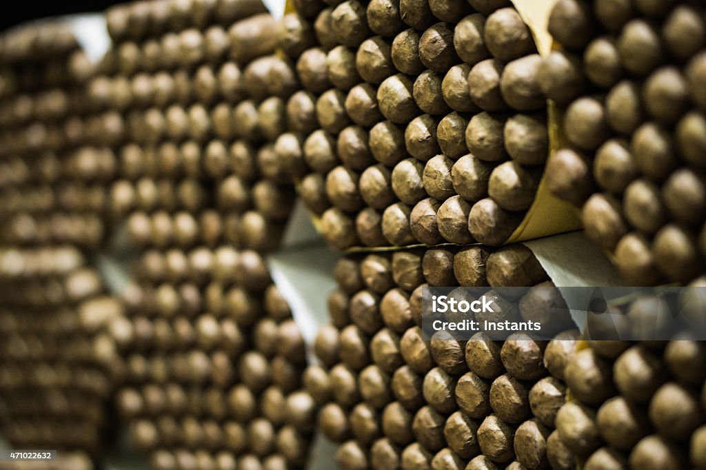 Cigars Cigars in a boutique. Cigar Stock Photo