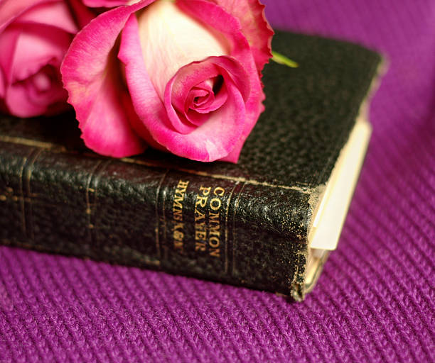 Very old used prayer book with lovely roses on a purple background. Very shallow DOF, zoom in for details.