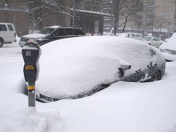 Blizzard of 2006 - NYC