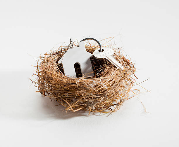comfortable nest for new home ownership concept of cozy home and safe property soft nest stock pictures, royalty-free photos & images