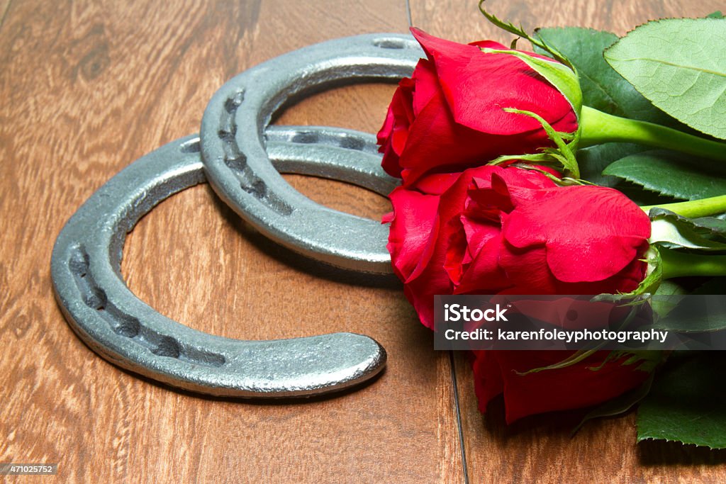 Kentucky Derby Red Roses with Horseshoes on Wood Red Roses - official flower of the Kentucky Derby with cast iron horseshoes on wood planks Rose - Flower Stock Photo