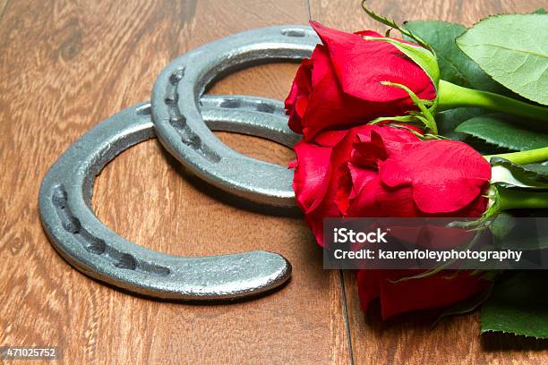 Kentucky Derby Red Roses With Horseshoes On Wood Stock Photo - Download Image Now - Rose - Flower, Horseshoe, Flower