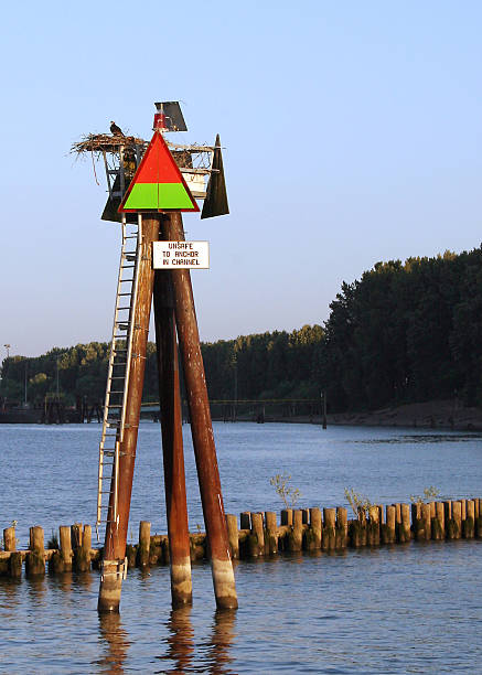 Channel Marker in the Columbia River stock photo