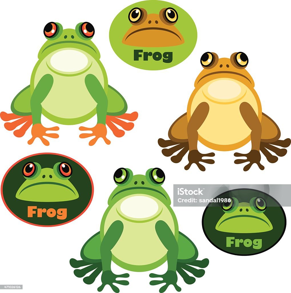 Frog  2015 stock vector