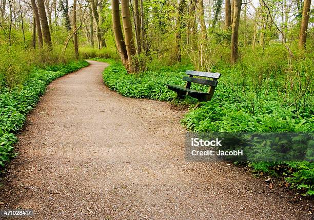 Bancada No Parque - Fotografias de stock e mais imagens de Caminhada - Caminhada, Indiana, Andar