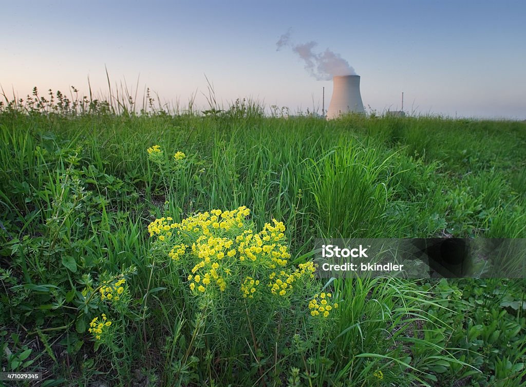 Flor de Nuclear - Foto de stock de Amarelo royalty-free