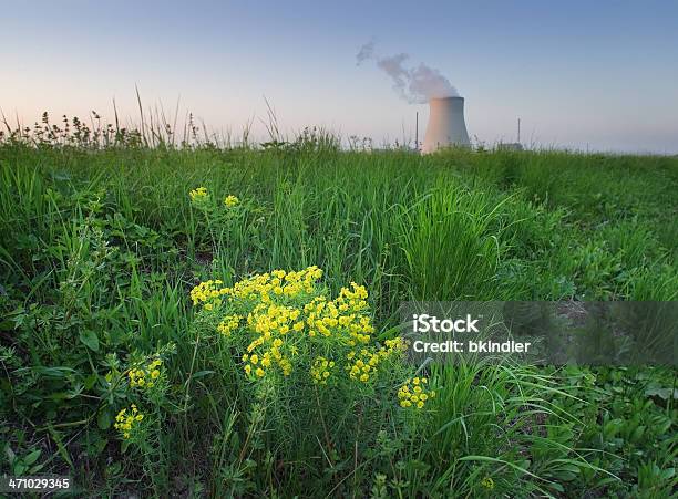 Foto de Flor De Nuclear e mais fotos de stock de Amarelo - Amarelo, Conceito, Cravo-de-defunto - Família do Ranúnculo