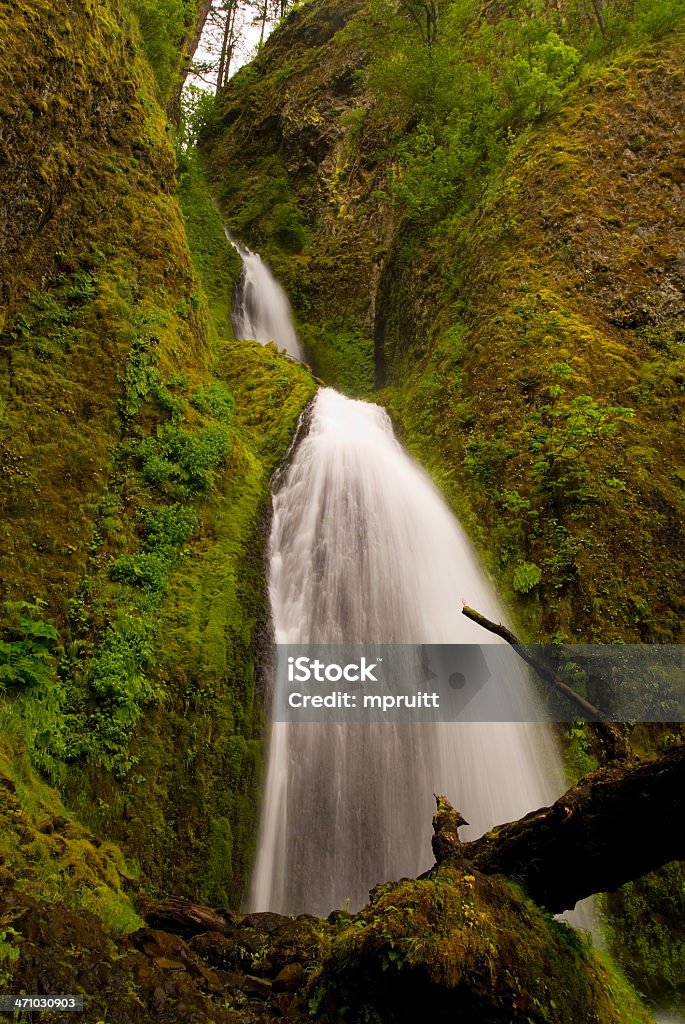 Cachoeira Wahkeena - Foto de stock de Esparso royalty-free