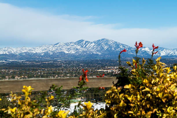 saddleback mountain mit blumen - saddleback mountain stock-fotos und bilder