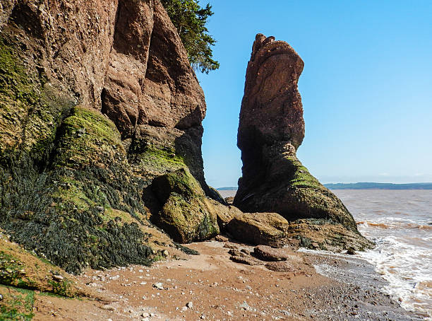 istock hopewell rocks in new brunswick 471031544