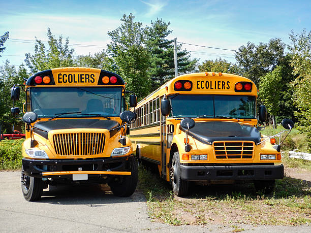 istock yellow school bus parked in row 471031744