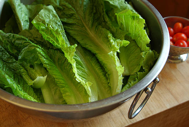 Freshly washed romaine lettuce in a large bowl stock photo