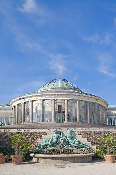 botanischer garten "greenhouse" in brüssel - royal botanical garden stock-fotos und bilder