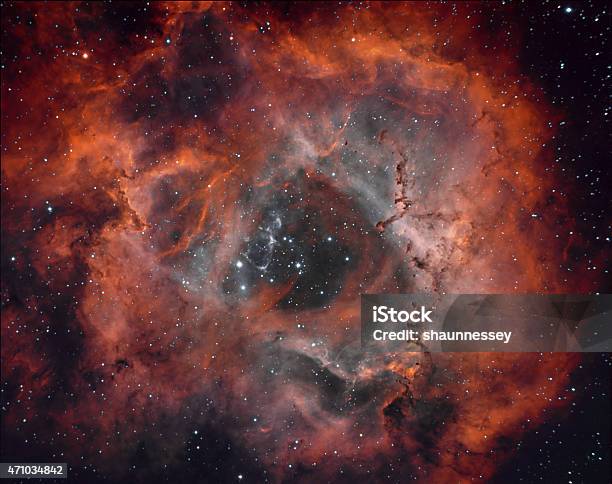 Rosette Stock Photo - Download Image Now - Nebula, Award Ribbon, 2015