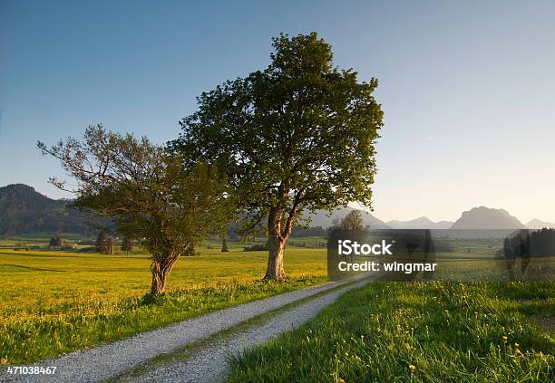 Foto de Primavera Meadow e mais fotos de stock de Abandonado - Abandonado, Aberto, Abril