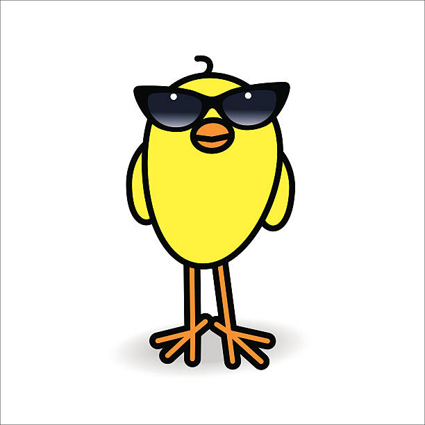 笑顔の黄色のひよこを着て女性ブラック サングラス - baby chicken illustrations点のイラスト素材／クリップアート素材／マンガ素材／アイコン素材