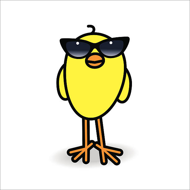 ilustrações de stock, clip art, desenhos animados e ícones de sorridente amarelo grão usar senhoras preto e óculos de sol - baby chicken young bird young animal easter