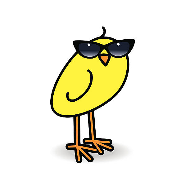 ilustrações de stock, clip art, desenhos animados e ícones de amarelo grão rodar cabeça senhoras preto e óculos de sol - baby chicken young bird young animal easter