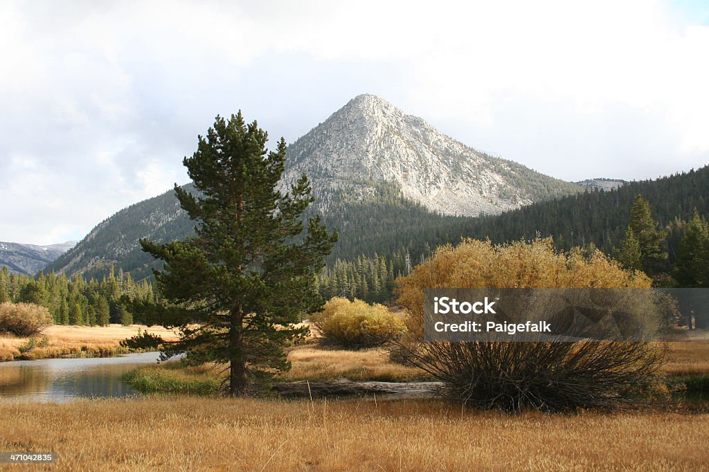 Potter Point, Yosemite Lyell Canyon Acute Angle Stock Photo