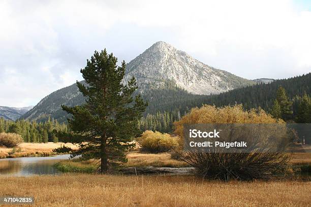 Garncarz Punkt Yosemite - zdjęcia stockowe i więcej obrazów Czas - Czas, Drzewo, Fotografika