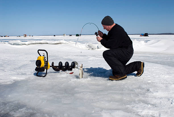 Ice Fisherman Ice fisherman reeling up a whitefish through a hole in the ice  ice fishing stock pictures, royalty-free photos & images