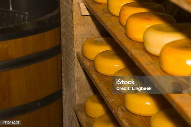 Käse In Der Stockfoto und mehr Bilder von Bauernkäse - Bauernkäse, Biologie, Dunkel